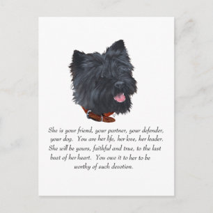 Postal Recuerdo de Terrier Black Cairn - Hembra