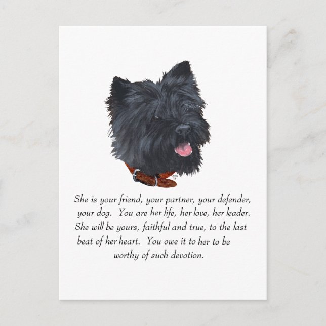 Postal Recuerdo de Terrier Black Cairn - Hembra (Anverso)