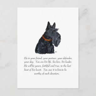 Postal Recuerdo de Terrier Escocés