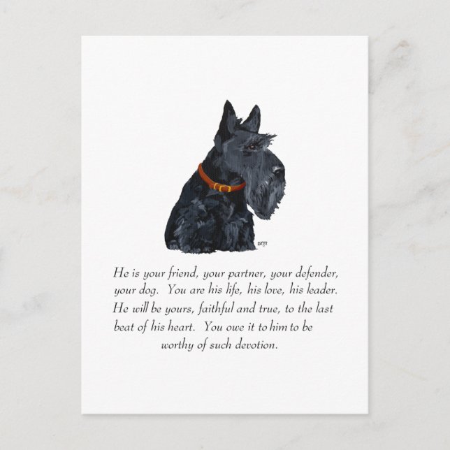 Postal Recuerdo de Terrier Escocés (Anverso)