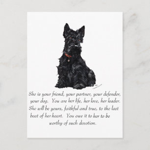 Postal Recuerdo de Terrier Escocés - HEMBRA