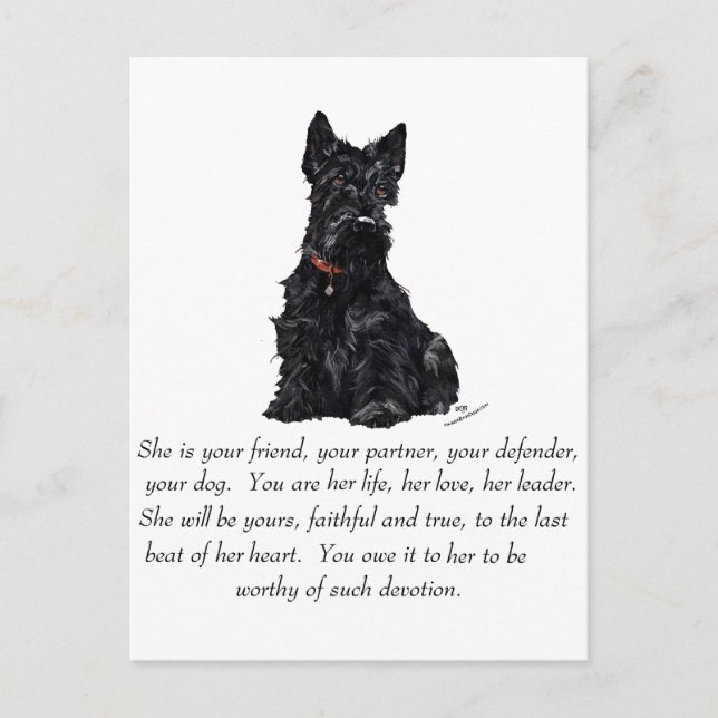 Postal Recuerdo de Terrier Escocés - HEMBRA (Anverso)