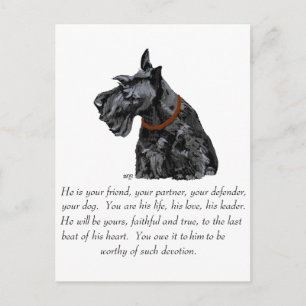 Postal Recuerdo de Terrier Escocés - Perro MACHO