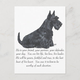 Postal Recuerdo de Terrier Escocés - Perro MACHO