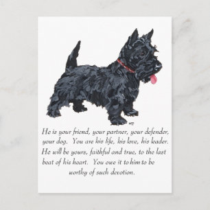 Postal Recuerdo de Terrier Escocés - Perro MACHO