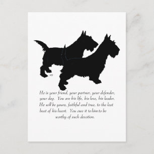 Postal Recuerdo de Terriers Escoceses - Perros MACHOS