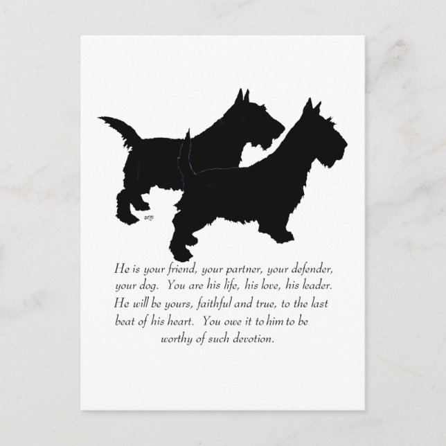 Postal Recuerdo de Terriers Escoceses - Perros MACHOS (Anverso)