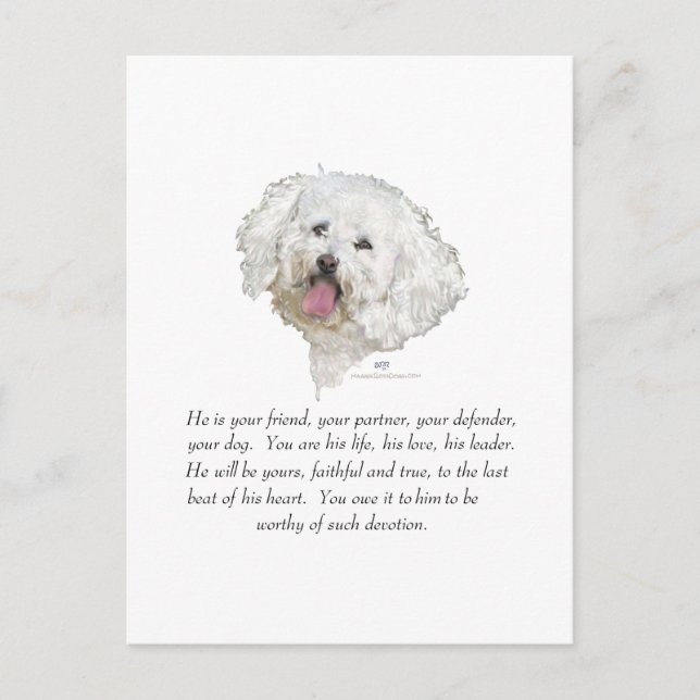 Postal Recuerdo, Perro Macho (Anverso)