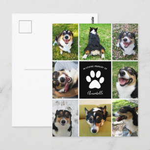 Postal Recuerdo Personalizado de Mascota Collage de Perro