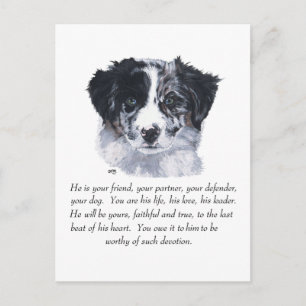 Postal Recuerdos de Border Collie