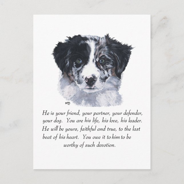 Postal Recuerdos de Border Collie (Anverso)