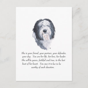 Postal Recuerdos de Old English Sheepdog