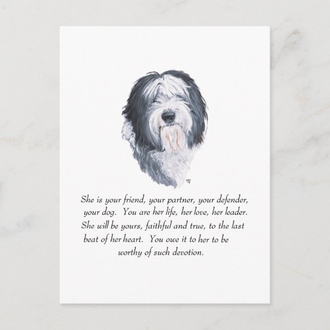 Postal Recuerdos de Old English Sheepdog (Anverso)