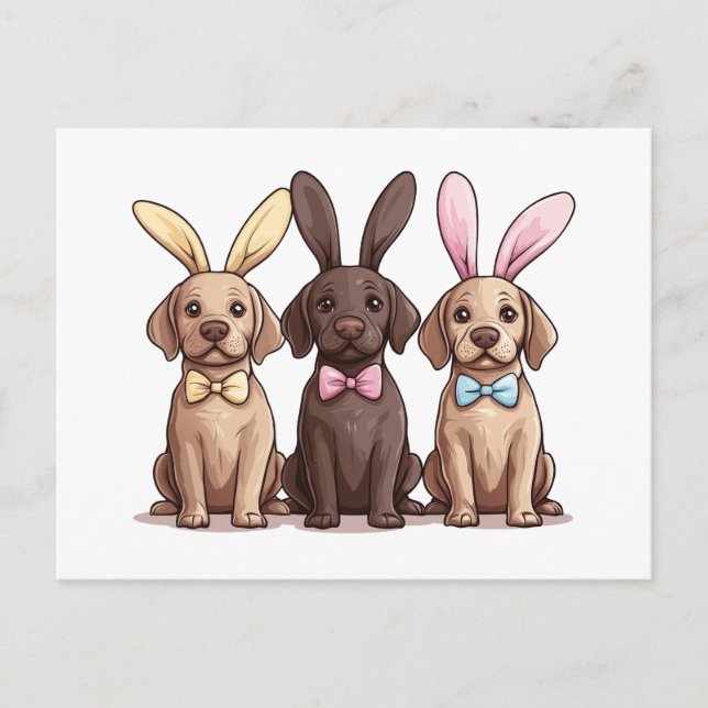 Postal Recuperación de Labrador de Pascua Perro Orejas Co (Anverso)
