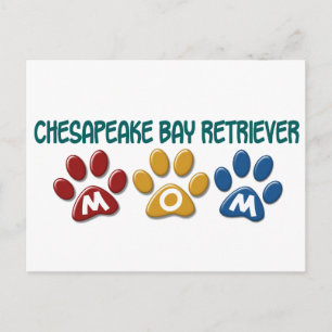 Postal RECUPERADOR DE BAHÍA DE CHESAPEAKE Mamá Paw Print