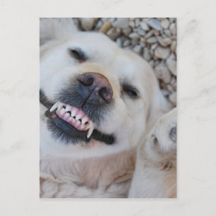 Postal Recuperador sonriente