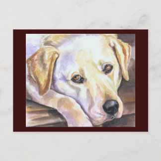 Postal recuperadora de labrador