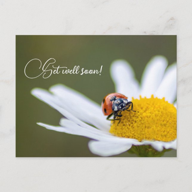 Postal Recupérate pronto con adorables mariquitas (Anverso)