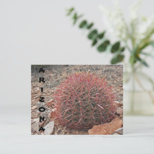 Postal Red Barrel Cactus Desert Planta Arizona Saludo