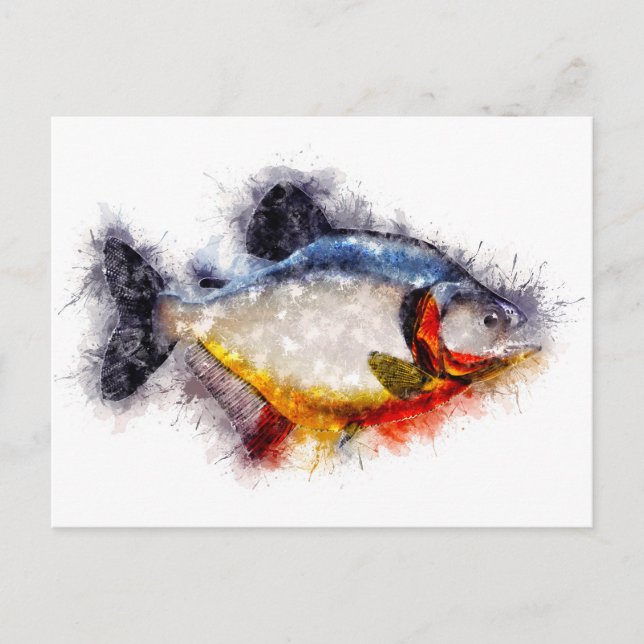 Postal Red Bellie Piranha Watercolor arte de peces monstr (Anverso)
