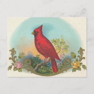 Postal Red Bird