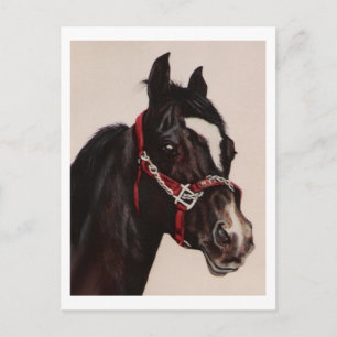 Postal Red Bridle