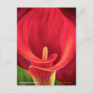 Postal Red Cala Lily, Arte de Flores Tropicales - Multi