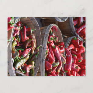 Postal Red Chili