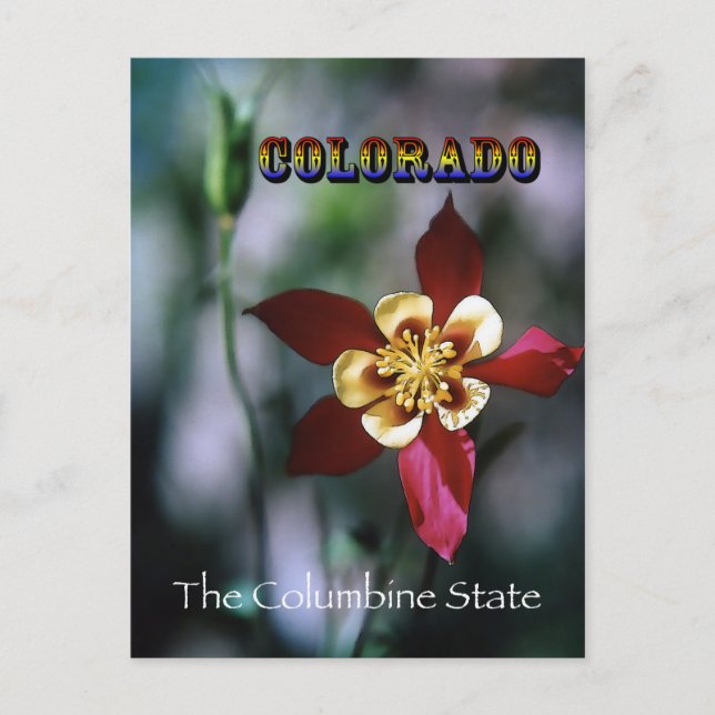 Postal Red Columbine - Estilo Vintage (Anverso)