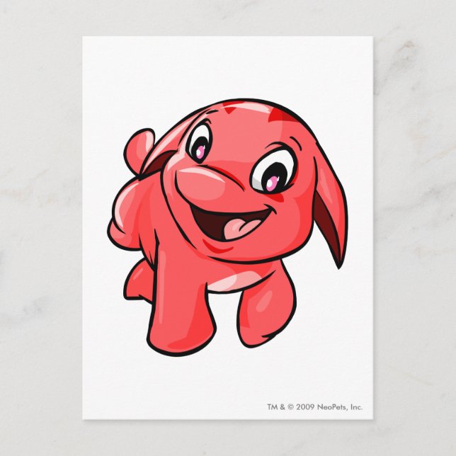 Postal Red de Pooogle (Anverso)