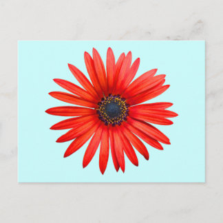 Postal Red Devil