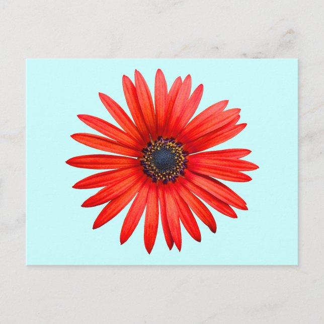 Postal Red Devil (Anverso)