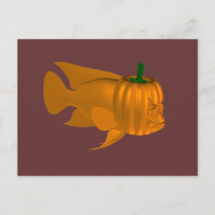 Postal Red Devil Cichlid