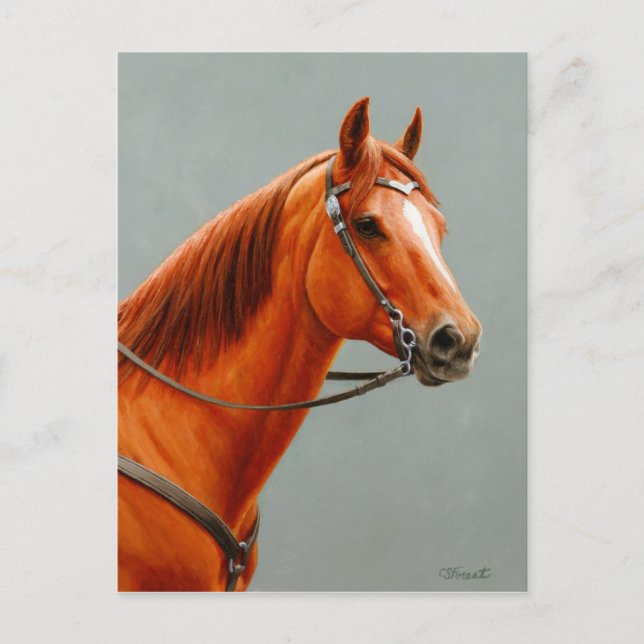 Postal Red Dun Chestnut Sorrel Western Quarter Horse (Anverso)