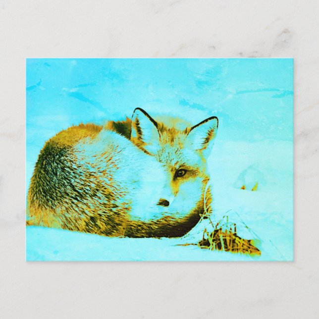 Postal *~* Red Fox Ap18 Artistic Artsy Animal Wildlife (Anverso)