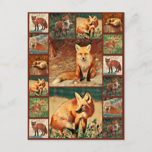 Postal Red Fox Collection