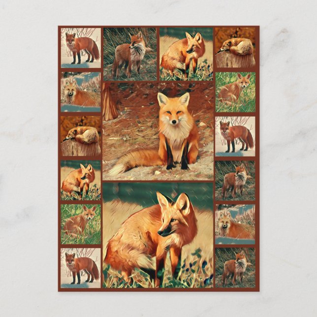 Postal Red Fox Collection (Anverso)