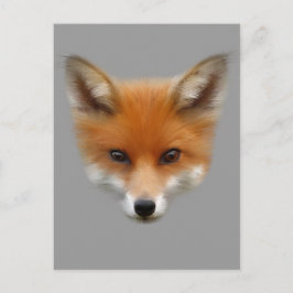 Postal Red Fox Cub