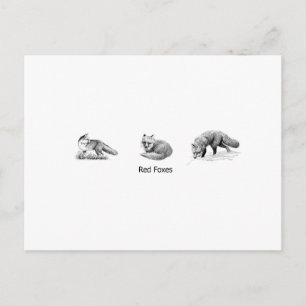 Postal Red Fox Line Art (titulado)