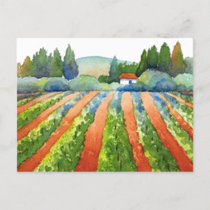 Postal Red Green Blue Viñedo Acuarela  