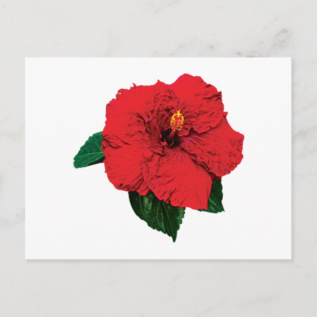 Postal Red Hibiscus (Anverso)