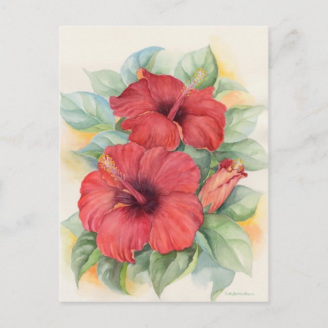 Postal Red Hibiscus Floral Tropical Watercolor Art (Anverso)