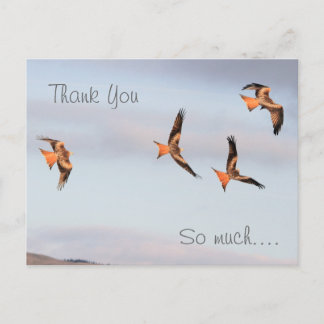 Postal Red Kite Gracias