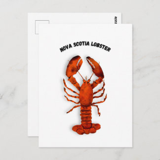 Postal Red Lobster Postcard