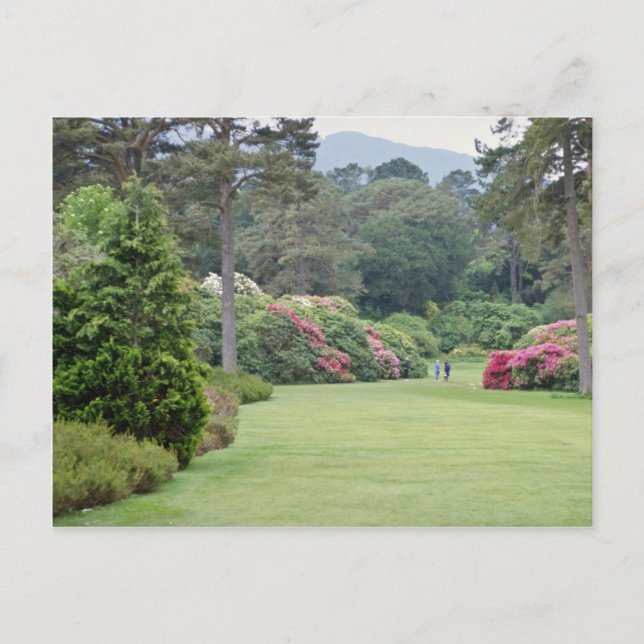 Postal Red Muckross House Gardens, flores de Irlanda (Anverso)