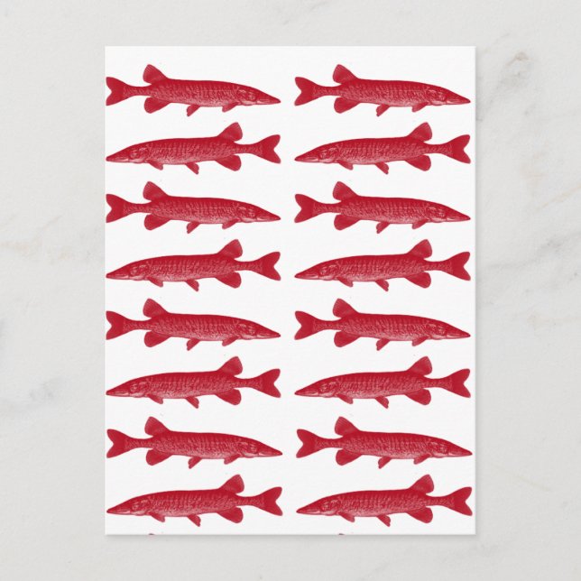Postal Red Muskie (Anverso)