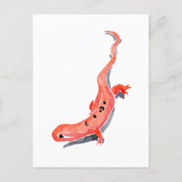 Postal Red Newt