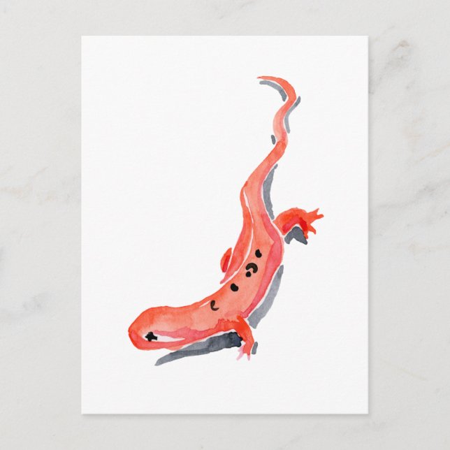 Postal Red Newt (Anverso)