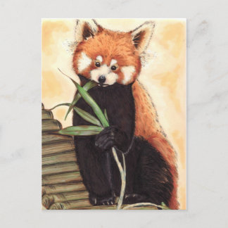 Postal Red Panda Nom