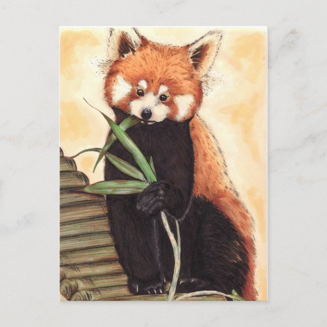 Postal Red Panda Nom (Anverso)